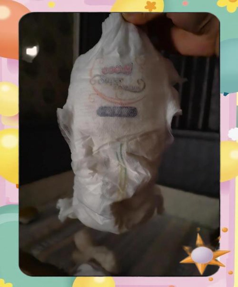 宝宝辅食的那些事：从新手妈妈到烹饪高手的成长之路